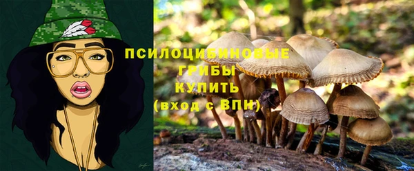 ПСИЛОЦИБИНОВЫЕ ГРИБЫ Болотное