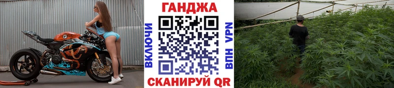 как найти закладки  Сертолово  Каннабис Bruce Banner 